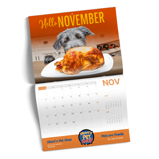 November Promotional Assets